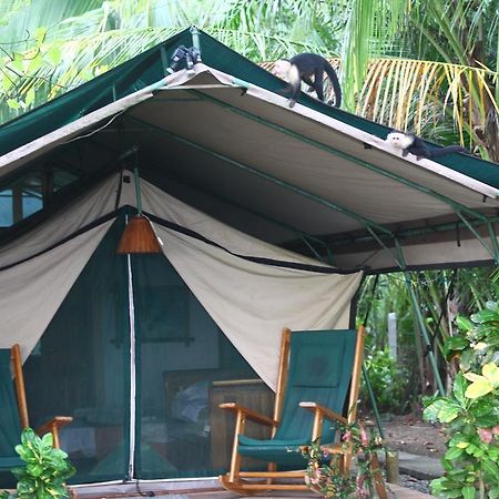 Rafiki Beach Camp Matapalo  Luaran gambar