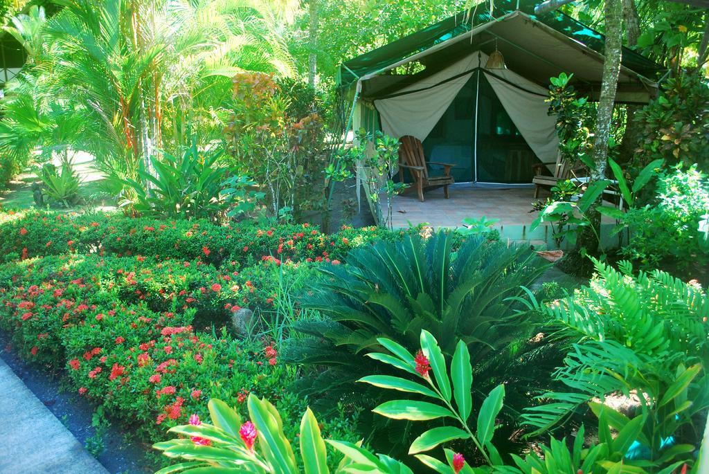 Rafiki Beach Camp Matapalo  Bilik gambar