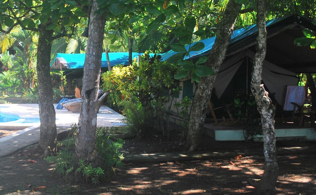 Rafiki Beach Camp Matapalo  Bilik gambar