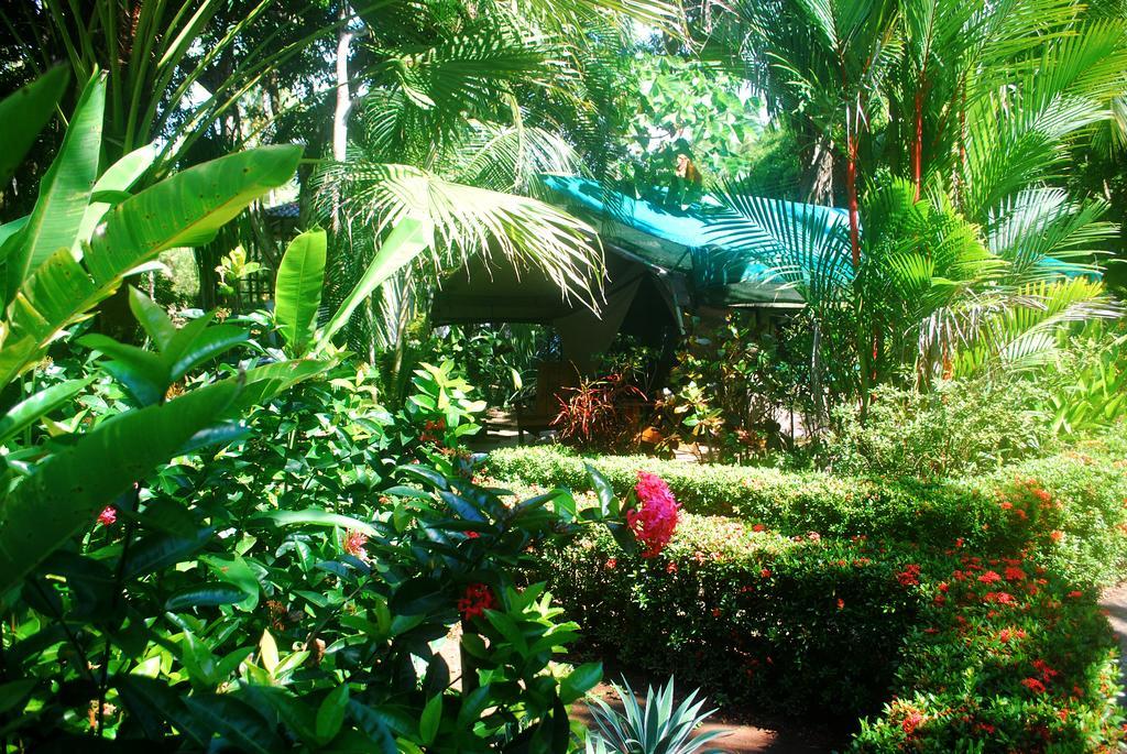 Rafiki Beach Camp Matapalo  Bilik gambar