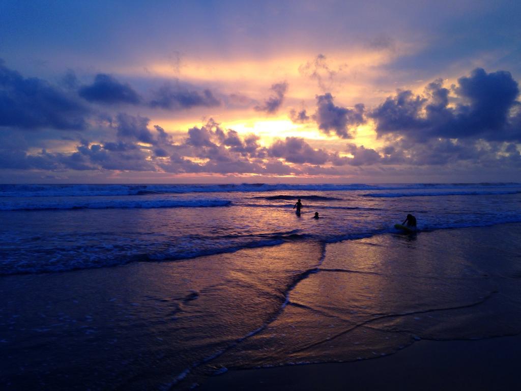Rafiki Beach Camp Matapalo  Bilik gambar