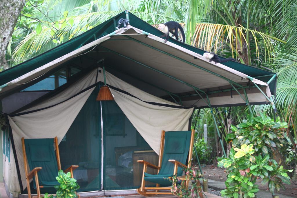 Rafiki Beach Camp Matapalo  Luaran gambar