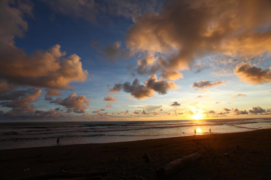 Rafiki Beach Camp Matapalo  Luaran gambar